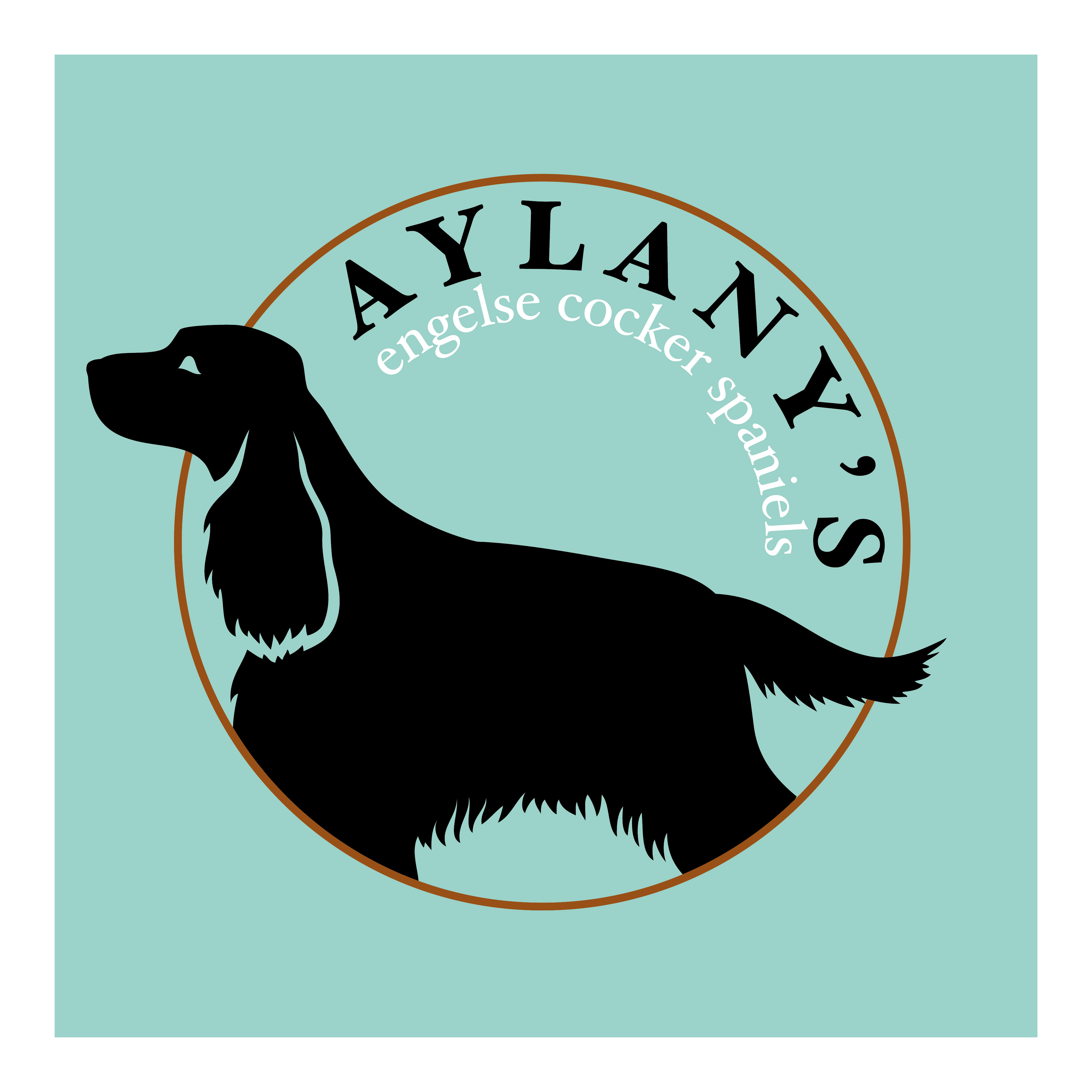 Aylany’s