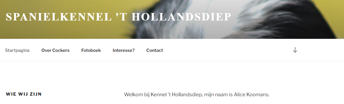 ’t Hollandsdiep