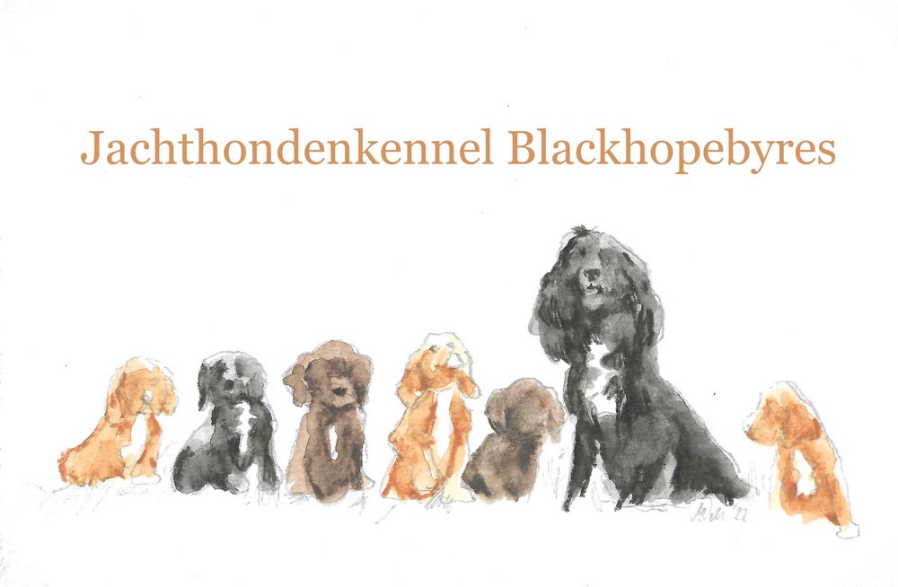 Jachthondenkennel Blackhopebyres