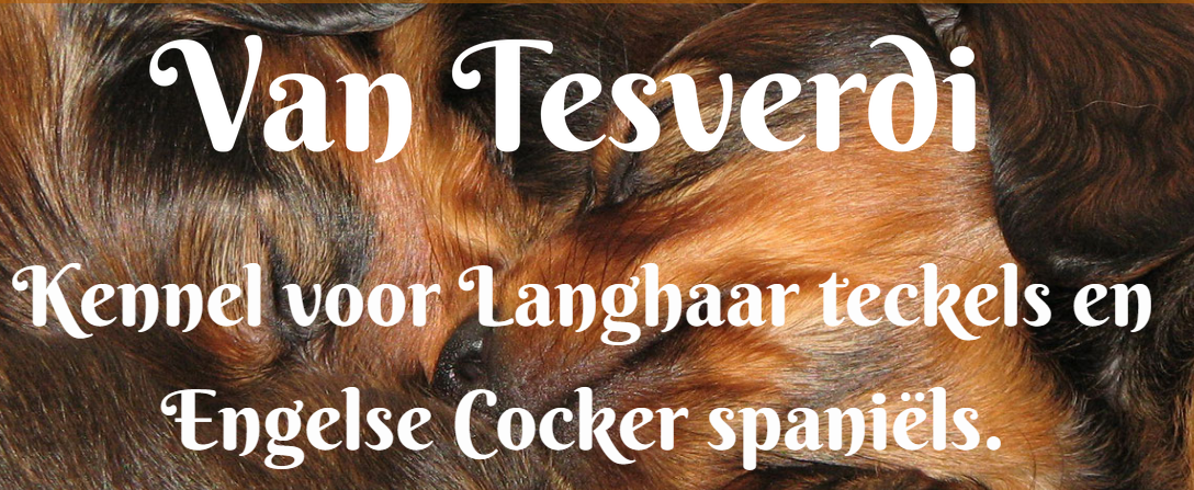 Kennel van Tesverdi