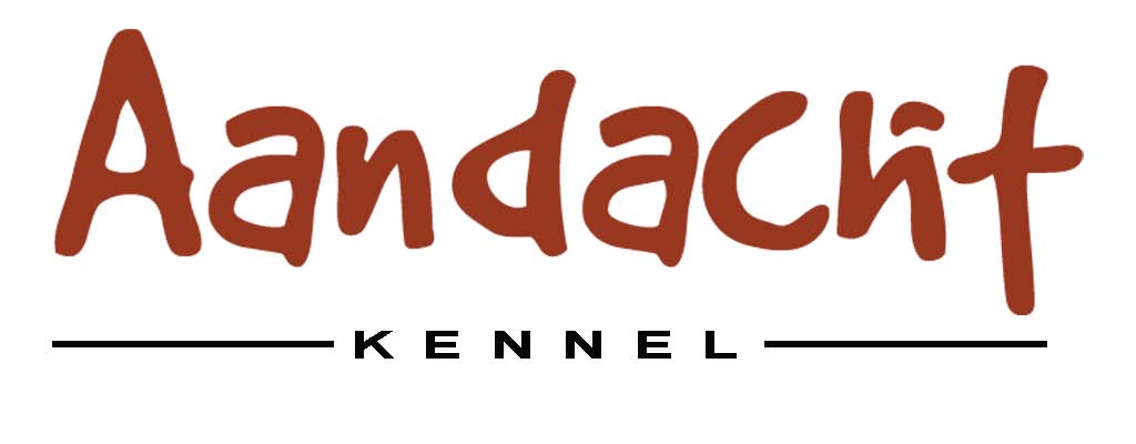 Aandacht
